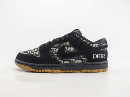 NIKE SB DUNK x DIOR